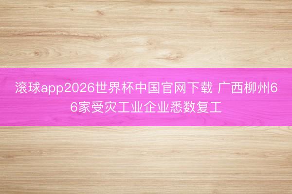 滚球app2026世界杯中国官网下载 广西柳州66家受灾工业企业悉数复工