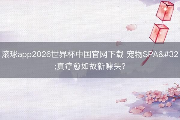 滚球app2026世界杯中国官网下载 宠物SPA 真疗愈如故新噱头？